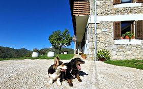 Apartment Vrhouc
